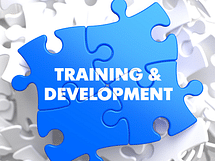 Junior Training & Development Intern