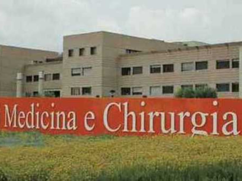 Università Di Lingue Migliori In Italia